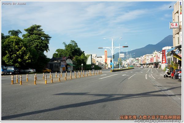 【花蓮景點】大農大富平地森林園區 光復翱翔季的熱氣球 @Alina 愛琳娜 【花蓮景點】大農大富平地森林園區 光復翱翔季的熱氣球 @Alina 愛琳娜