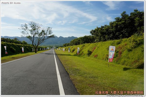 【花蓮景點】大農大富平地森林園區 光復翱翔季的熱氣球 @Alina 愛琳娜