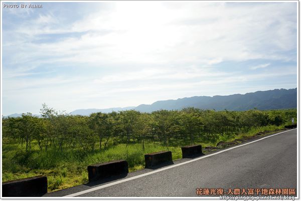 【花蓮景點】大農大富平地森林園區 光復翱翔季的熱氣球 @Alina 愛琳娜 【花蓮景點】大農大富平地森林園區 光復翱翔季的熱氣球 @Alina 愛琳娜