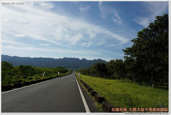 【花蓮景點】大農大富平地森林園區 光復翱翔季的熱氣球 @Alina 愛琳娜 【花蓮景點】大農大富平地森林園區 光復翱翔季的熱氣球 @Alina 愛琳娜