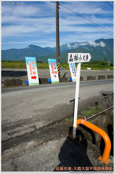 【花蓮景點】大農大富平地森林園區 光復翱翔季的熱氣球 @Alina 愛琳娜 【花蓮景點】大農大富平地森林園區 光復翱翔季的熱氣球 @Alina 愛琳娜
