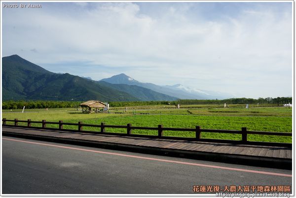 【花蓮景點】大農大富平地森林園區 光復翱翔季的熱氣球 @Alina 愛琳娜 【花蓮景點】大農大富平地森林園區 光復翱翔季的熱氣球 @Alina 愛琳娜