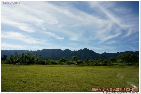 【花蓮景點】大農大富平地森林園區 光復翱翔季的熱氣球 @Alina 愛琳娜
