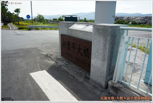 【花蓮景點】大農大富平地森林園區 光復翱翔季的熱氣球 @Alina 愛琳娜 【花蓮景點】大農大富平地森林園區 光復翱翔季的熱氣球 @Alina 愛琳娜