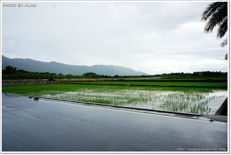 【花蓮景點】雲山水夢幻湖生態農莊|後山秘境,熱門婚紗拍攝地點 @Alina 愛琳娜 雲山水夢幻湖生態農莊