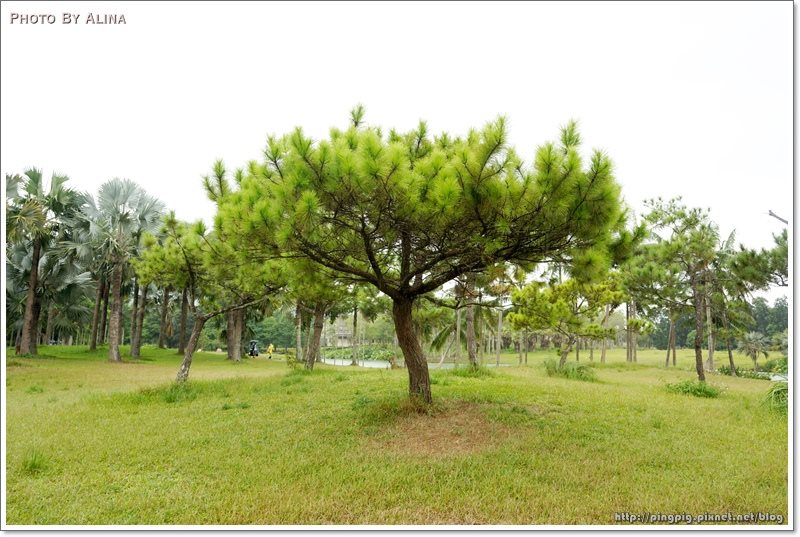 【花蓮景點】雲山水夢幻湖生態農莊|後山秘境,熱門婚紗拍攝地點 @Alina 愛琳娜 花蓮雲山水