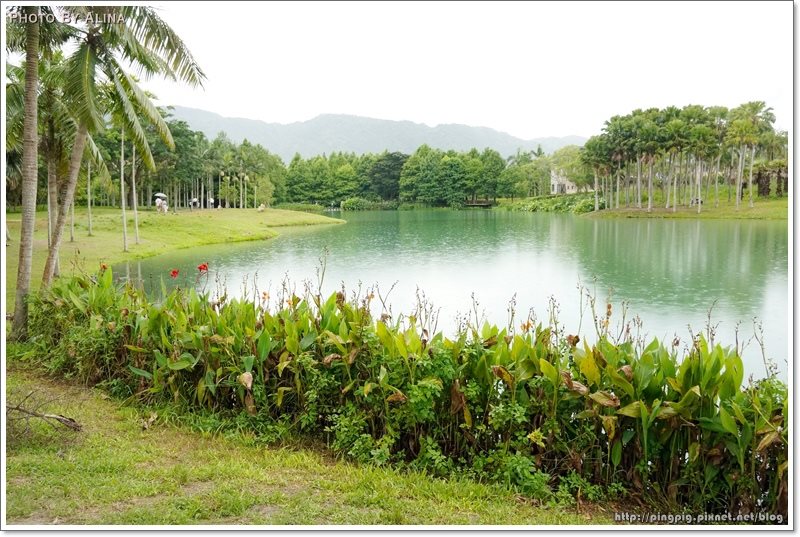 【花蓮景點】雲山水夢幻湖生態農莊|後山秘境,熱門婚紗拍攝地點 @Alina 愛琳娜 雲山水夢幻湖生態農莊