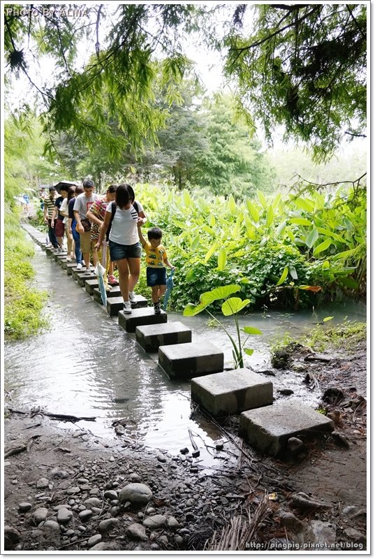 【花蓮景點】雲山水夢幻湖生態農莊|後山秘境,熱門婚紗拍攝地點 @Alina 愛琳娜 花蓮雲山水