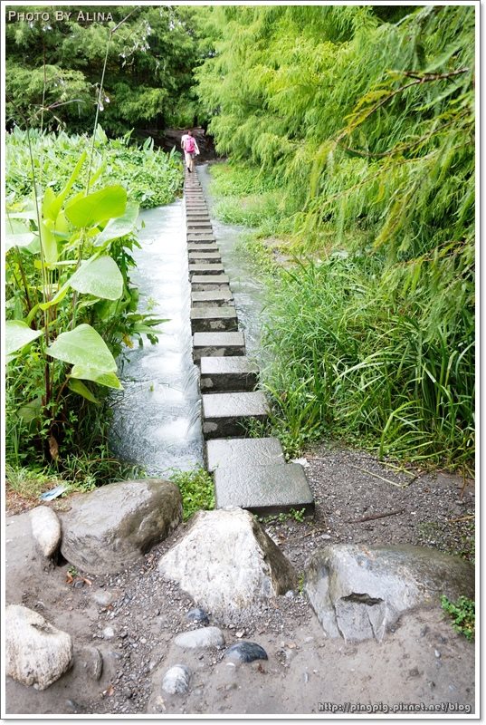 【花蓮景點】雲山水夢幻湖生態農莊|後山秘境,熱門婚紗拍攝地點 @Alina 愛琳娜 花蓮雲山水