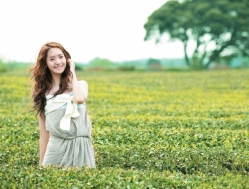 【濟州島景點】OSULLOC 雪綠茶博物館-李敏鎬潤娥innisfree廣告景點 @Alina 愛琳娜