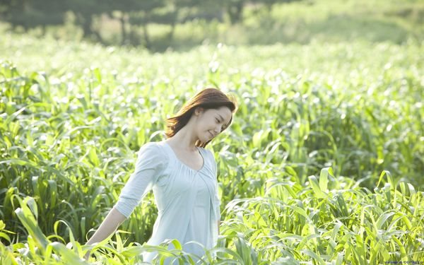 【濟州島景點】OSULLOC 雪綠茶博物館-李敏鎬潤娥innisfree廣告景點 @Alina 愛琳娜
