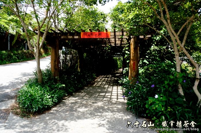 【花蓮食記】六十石山鐵掌櫃茶舍|初訪金針花風味餐便宜又好吃 @Alina 愛琳娜 花蓮六十石山鐵掌櫃茶舍|初訪金針花風味餐便宜又好吃