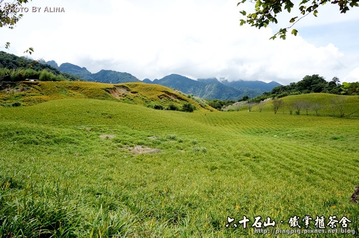 【花蓮食記】六十石山鐵掌櫃茶舍|初訪金針花風味餐便宜又好吃 @Alina 愛琳娜 花蓮六十石山鐵掌櫃茶舍|初訪金針花風味餐便宜又好吃