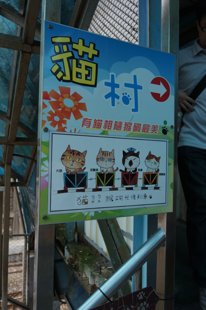 【台北景點】基隆瑞芳猴硐貓咪村｜超多可愛貓咪的愛心聚集地 @Alina 愛琳娜
