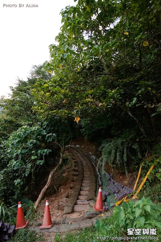 花蓮民宿星空與嵐 夢想編織愛的搖籃,仰望星空被後山擁抱著