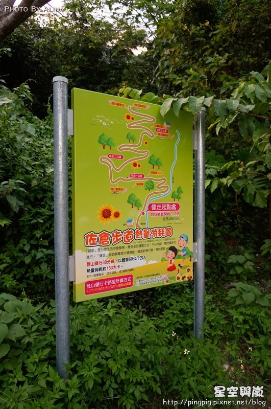 花蓮民宿星空與嵐 夢想編織愛的搖籃,仰望星空被後山擁抱著