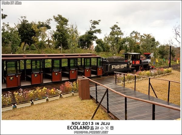 【濟州島景點】ECOLAND森林小火車生態公園-初冬賞楓必遊景點 @Alina 愛琳娜 濟州島ECOLAND森林小火車生態公園-初冬賞楓必遊景點