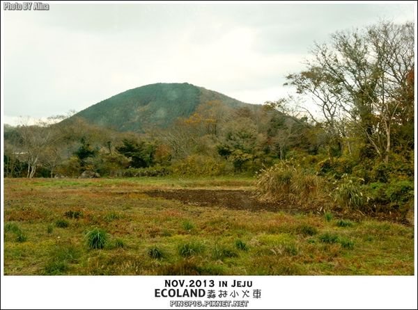 【濟州島景點】ECOLAND森林小火車生態公園-初冬賞楓必遊景點 @Alina 愛琳娜 【濟州島景點】ECOLAND森林小火車生態公園-初冬賞楓必遊景點 @Alina 愛琳娜