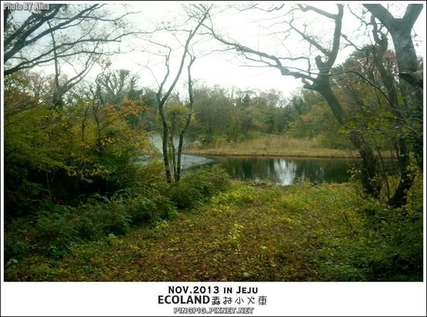 【濟州島景點】ECOLAND森林小火車生態公園-初冬賞楓必遊景點 @Alina 愛琳娜 【濟州島景點】ECOLAND森林小火車生態公園-初冬賞楓必遊景點 @Alina 愛琳娜