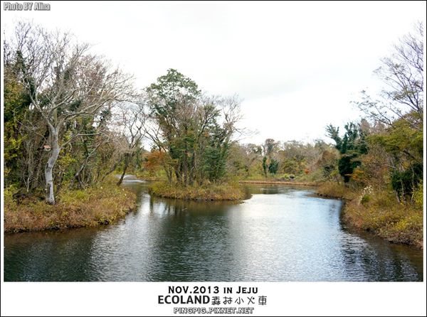 【濟州島景點】ECOLAND森林小火車生態公園-初冬賞楓必遊景點 @Alina 愛琳娜 【濟州島景點】ECOLAND森林小火車生態公園-初冬賞楓必遊景點 @Alina 愛琳娜