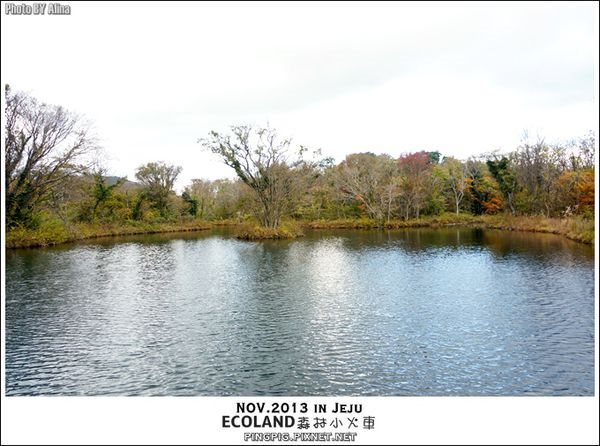 【濟州島景點】ECOLAND森林小火車生態公園-初冬賞楓必遊景點 @Alina 愛琳娜 【濟州島景點】ECOLAND森林小火車生態公園-初冬賞楓必遊景點 @Alina 愛琳娜