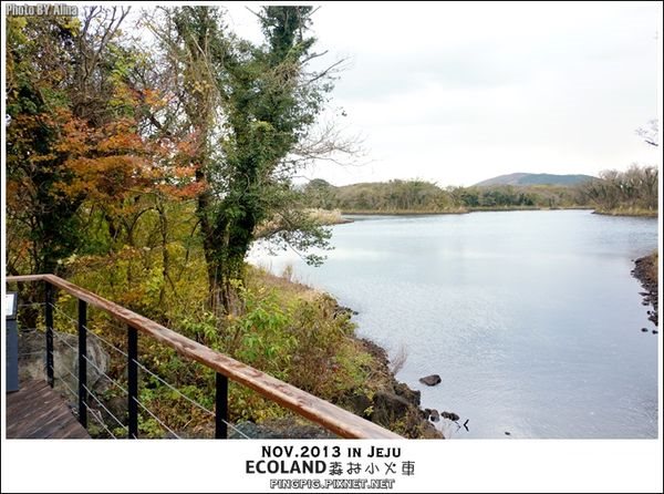 【濟州島景點】ECOLAND森林小火車生態公園-初冬賞楓必遊景點 @Alina 愛琳娜