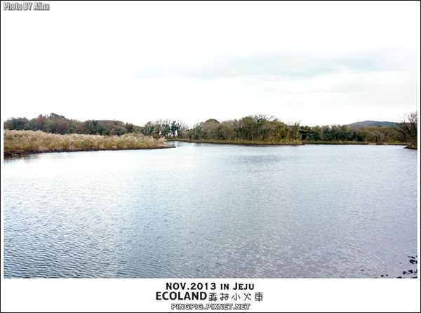 【濟州島景點】ECOLAND森林小火車生態公園-初冬賞楓必遊景點 @Alina 愛琳娜 【濟州島景點】ECOLAND森林小火車生態公園-初冬賞楓必遊景點 @Alina 愛琳娜