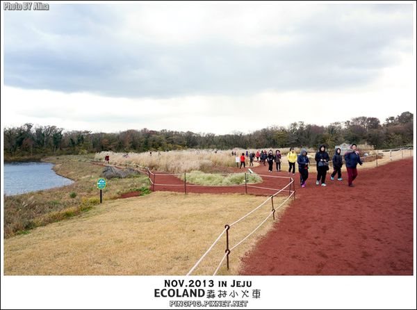 【濟州島景點】ECOLAND森林小火車生態公園-初冬賞楓必遊景點 @Alina 愛琳娜 【濟州島景點】ECOLAND森林小火車生態公園-初冬賞楓必遊景點 @Alina 愛琳娜