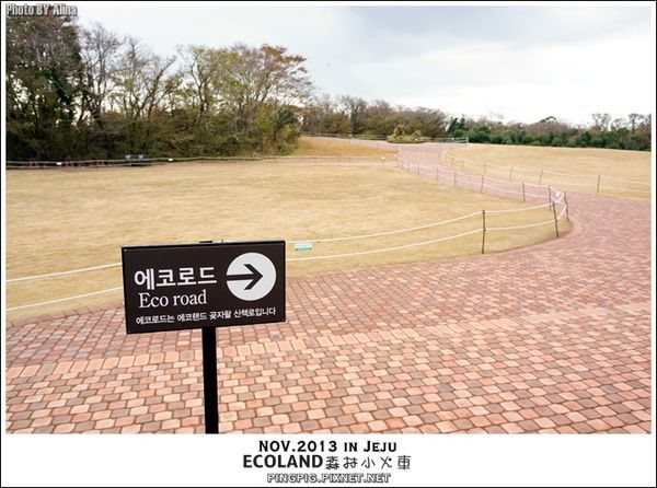 【濟州島景點】ECOLAND森林小火車生態公園-初冬賞楓必遊景點 @Alina 愛琳娜 【濟州島景點】ECOLAND森林小火車生態公園-初冬賞楓必遊景點 @Alina 愛琳娜