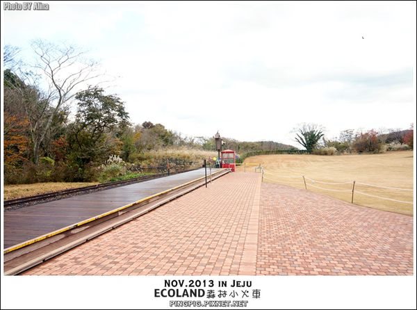 【濟州島景點】ECOLAND森林小火車生態公園-初冬賞楓必遊景點 @Alina 愛琳娜