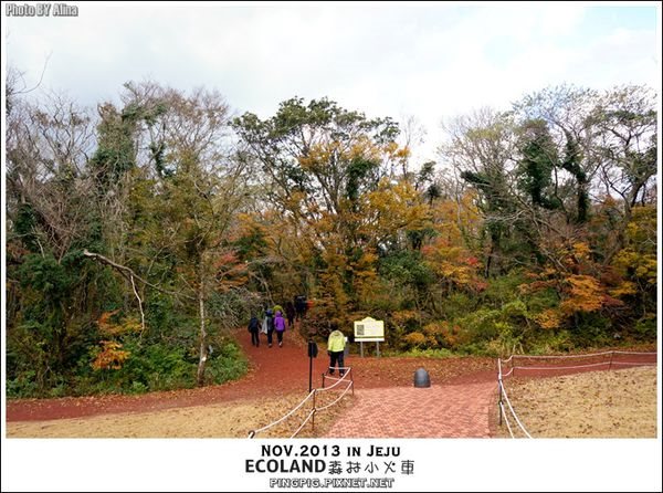 【濟州島景點】ECOLAND森林小火車生態公園-初冬賞楓必遊景點 @Alina 愛琳娜 【濟州島景點】ECOLAND森林小火車生態公園-初冬賞楓必遊景點 @Alina 愛琳娜