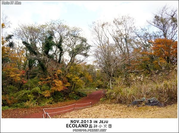 【濟州島景點】ECOLAND森林小火車生態公園-初冬賞楓必遊景點 @Alina 愛琳娜 【濟州島景點】ECOLAND森林小火車生態公園-初冬賞楓必遊景點 @Alina 愛琳娜