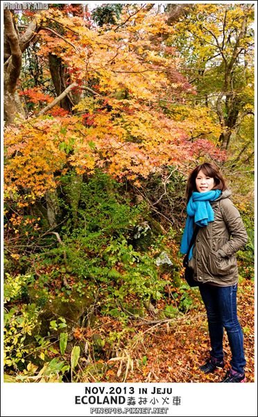 【濟州島景點】ECOLAND森林小火車生態公園-初冬賞楓必遊景點 @Alina 愛琳娜 濟州島ECOLAND森林小火車生態公園-初冬賞楓必遊景點