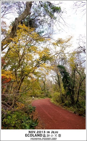 【濟州島景點】ECOLAND森林小火車生態公園-初冬賞楓必遊景點 @Alina 愛琳娜 【濟州島景點】ECOLAND森林小火車生態公園-初冬賞楓必遊景點 @Alina 愛琳娜