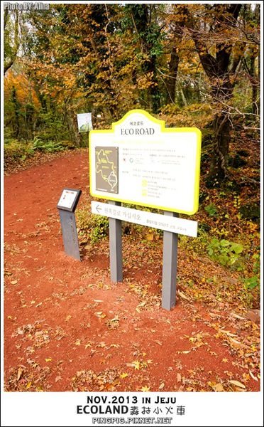 【濟州島景點】ECOLAND森林小火車生態公園-初冬賞楓必遊景點 @Alina 愛琳娜 【濟州島景點】ECOLAND森林小火車生態公園-初冬賞楓必遊景點 @Alina 愛琳娜