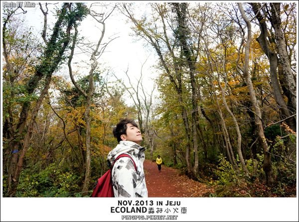 【濟州島景點】ECOLAND森林小火車生態公園-初冬賞楓必遊景點 @Alina 愛琳娜 濟州島ECOLAND森林小火車生態公園-初冬賞楓必遊景點