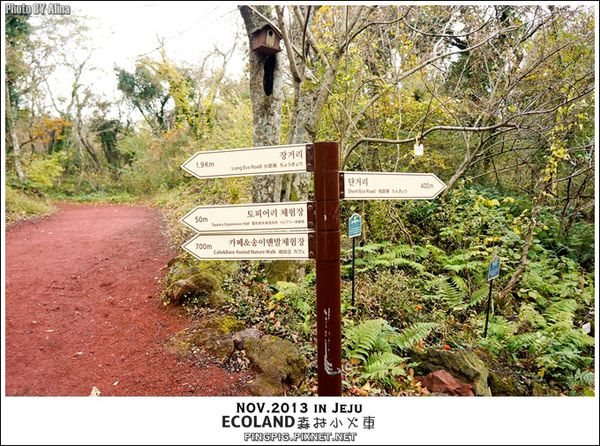 【濟州島景點】ECOLAND森林小火車生態公園-初冬賞楓必遊景點 @Alina 愛琳娜 【濟州島景點】ECOLAND森林小火車生態公園-初冬賞楓必遊景點 @Alina 愛琳娜