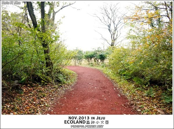 【濟州島景點】ECOLAND森林小火車生態公園-初冬賞楓必遊景點 @Alina 愛琳娜 濟州島ECOLAND森林小火車生態公園-初冬賞楓必遊景點