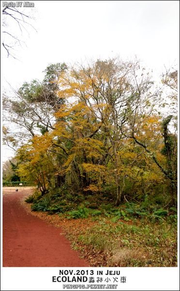 【濟州島景點】ECOLAND森林小火車生態公園-初冬賞楓必遊景點 @Alina 愛琳娜 【濟州島景點】ECOLAND森林小火車生態公園-初冬賞楓必遊景點 @Alina 愛琳娜