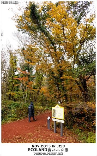 濟州島ECOLAND森林小火車生態公園-初冬賞楓必遊景點
