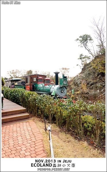 【濟州島景點】ECOLAND森林小火車生態公園-初冬賞楓必遊景點 @Alina 愛琳娜 濟州島ECOLAND森林小火車生態公園-初冬賞楓必遊景點