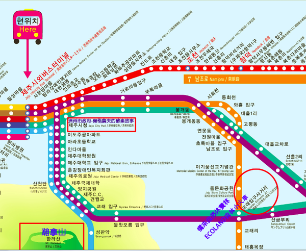 【濟州島景點】ECOLAND森林小火車生態公園-初冬賞楓必遊景點 @Alina 愛琳娜 濟州島ECOLAND森林小火車生態公園交通