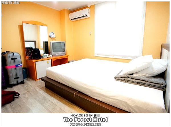 濟州島民宿 The Forest Hotel 背包客棧旅館,近中央地下街.黑豬肉一條街