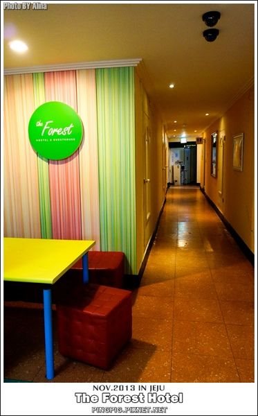 濟州島民宿 The Forest Hotel 背包客棧旅館,近中央地下街.黑豬肉一條街