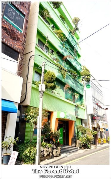 濟州島民宿 The Forest Hotel 背包客棧旅館,近中央地下街.黑豬肉一條街