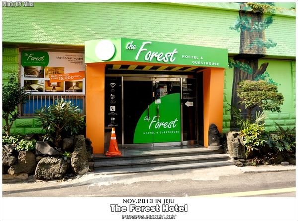 濟州島民宿 The Forest Hotel 背包客棧旅館,近中央地下街.黑豬肉一條街