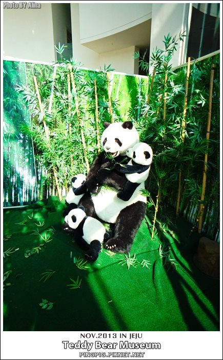 【濟州島景點】濟州泰迪熊博物館(中文觀光區)Teddy Bear Museum @Alina 愛琳娜 【濟州島景點】濟州泰迪熊博物館(中文觀光區)Teddy Bear Museum @Alina 愛琳娜