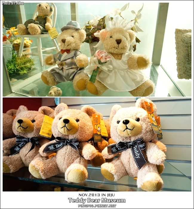 【濟州島景點】濟州泰迪熊博物館(中文觀光區)Teddy Bear Museum @Alina 愛琳娜