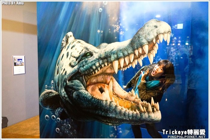 【濟州島景點】西歸浦 Trickeye 特麗愛3D立體美術館 @Alina 愛琳娜 【濟州島景點】西歸浦 Trickeye 特麗愛3D立體美術館 @Alina 愛琳娜