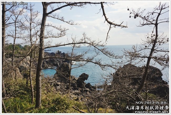 【濟州島景點】西歸浦 中文觀光區 大浦海岸柱狀節理帶火山岩 @Alina 愛琳娜